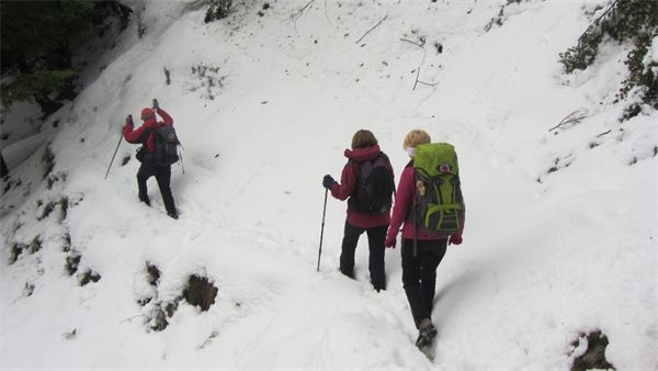 Monte Legnoncino (LC)