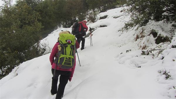 Monte Legnoncino (LC)