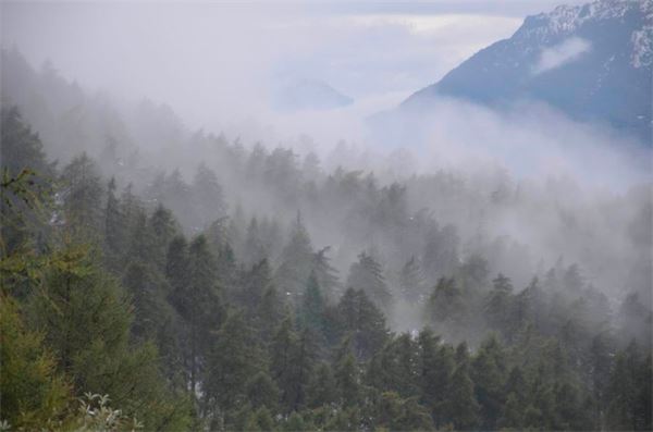 Monte Legnoncino (LC)