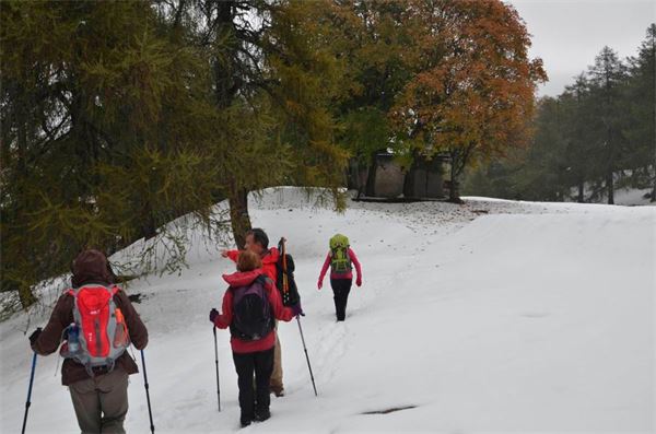 Monte Legnoncino (LC)