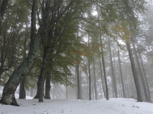 Monte Legnoncino (LC)