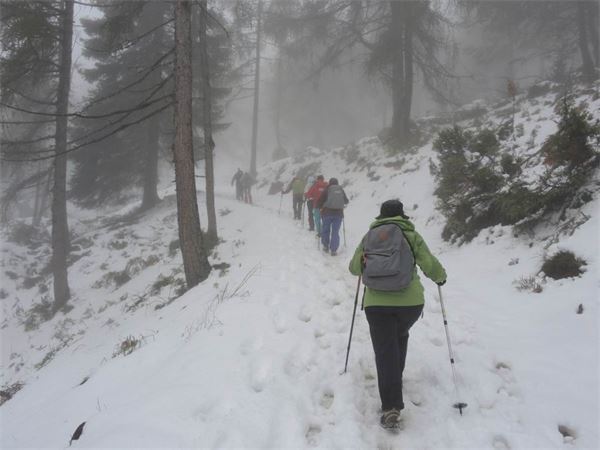 Monte Legnoncino (LC)