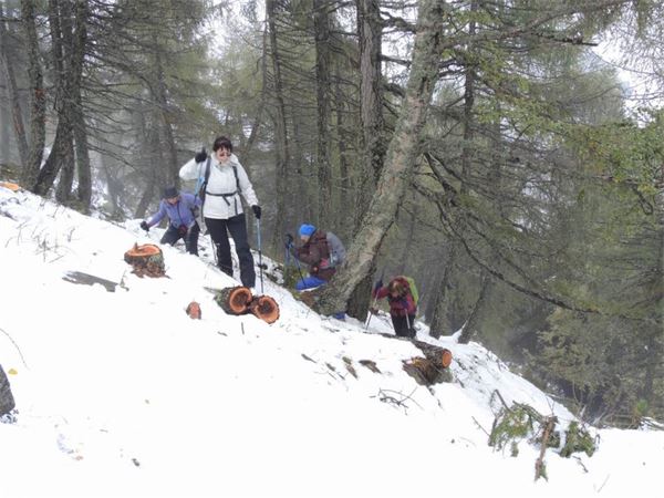 Monte Legnoncino (LC)