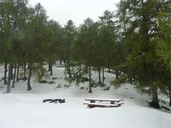 Monte Legnoncino (LC)