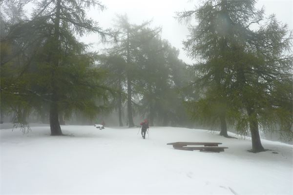 Monte Legnoncino (LC)