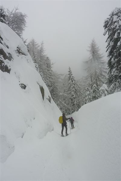 Val Chiavenna (SO)