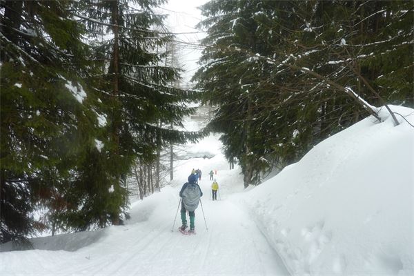 Val Chiavenna (SO)