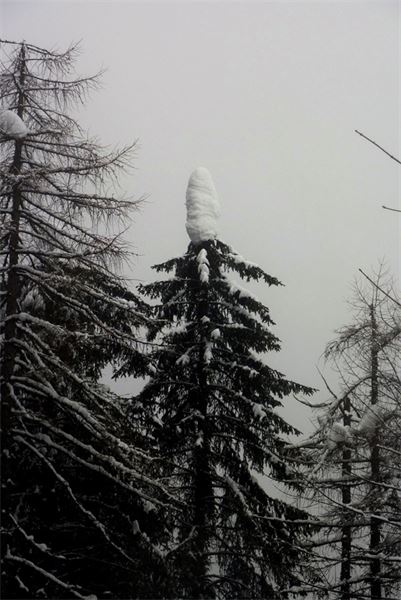 Val Chiavenna (SO)