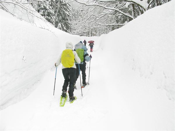 Val Chiavenna (SO)