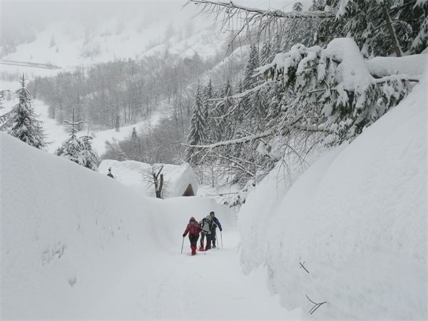 Val Chiavenna (SO)
