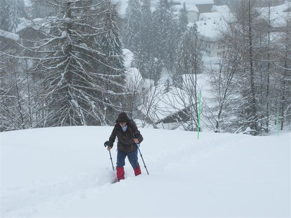 Val Chiavenna (SO)