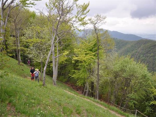Monte Magnodeno - Rif. Alpinisti Monzesi (LC)