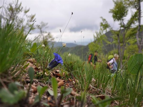 Monte Magnodeno - Rif. Alpinisti Monzesi (LC)