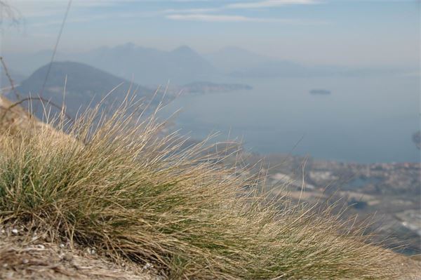 Mont’Orfano – Gravellona Toce (VB)