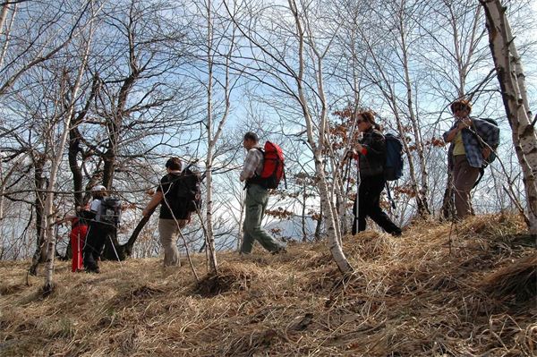 Mont’Orfano – Gravellona Toce (VB)