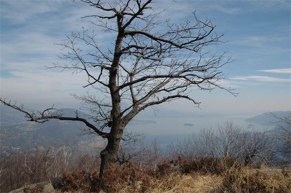 Mont’Orfano – Gravellona Toce (VB)