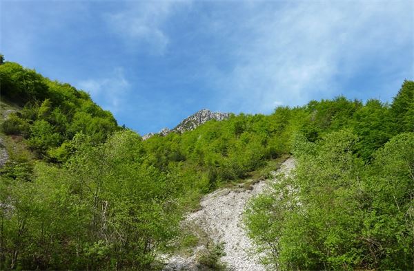 Monte Alben (BG)