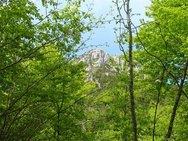 Monte Alben (BG)