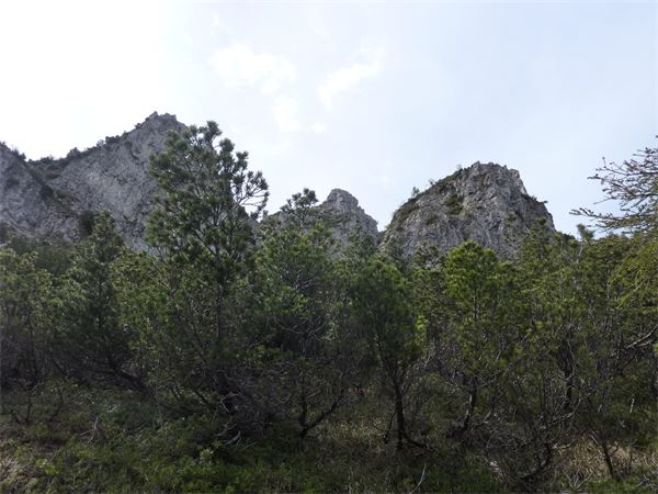 Monte Alben (BG)