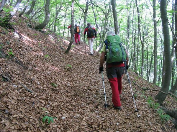 Monte Alben (BG)