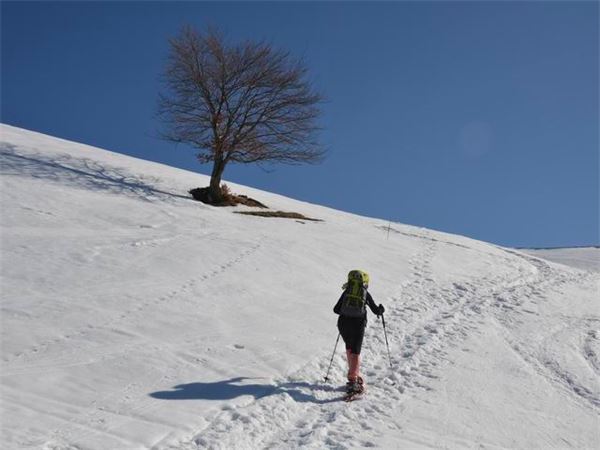 Monte Baldo (VR)