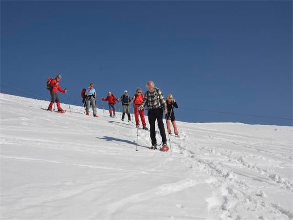 Monte Baldo (VR)