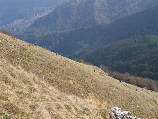 Monte Due Mani (LC)