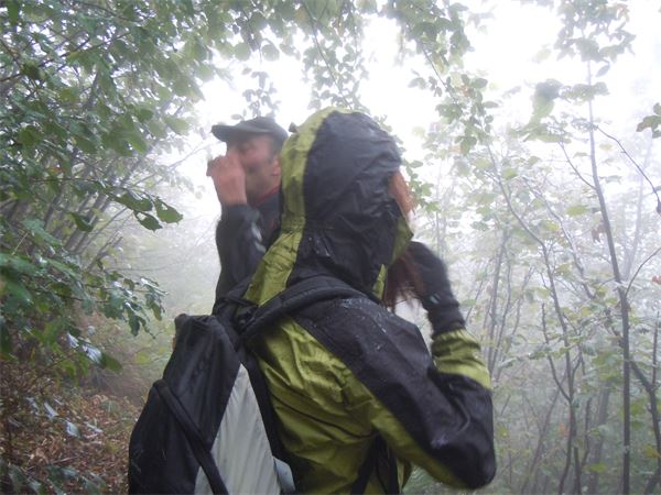 Da Lecco ai Piani Resinelli (LC)