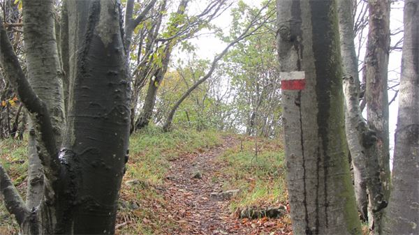 Monte Antola (GE)