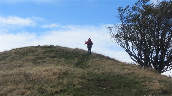 Monte Antola (GE)