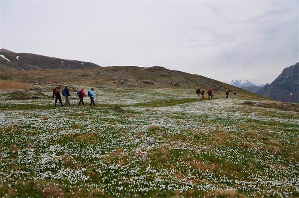 Monte Araralta (BG)