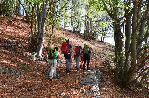 Monte Araralta (BG)