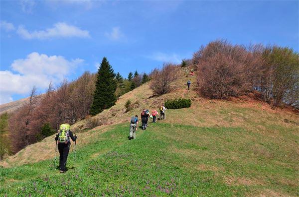 Monte Araralta (BG)