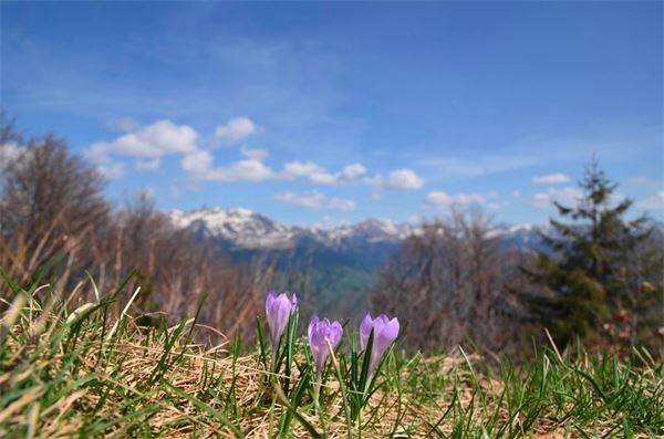 Monte Araralta (BG)