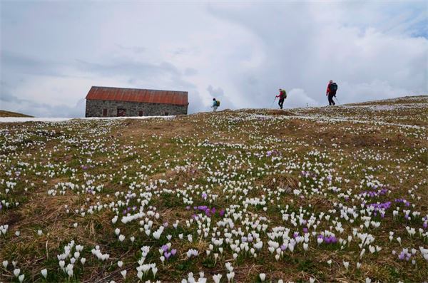Monte Araralta (BG)