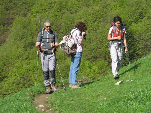 Monte Araralta (BG)