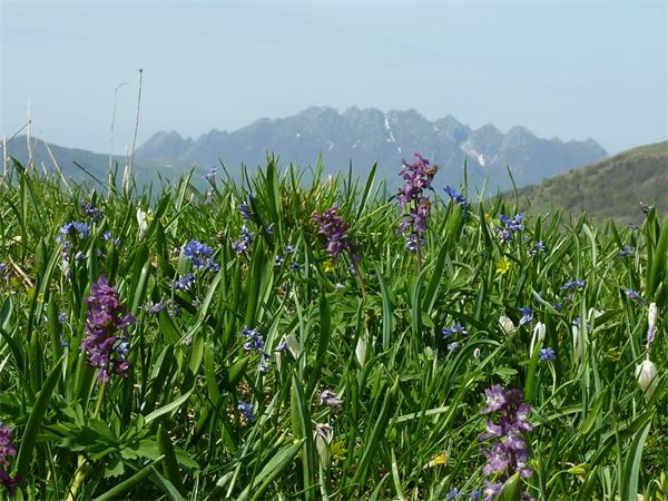 Monte Araralta (BG)
