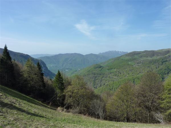 Monte Araralta (BG)