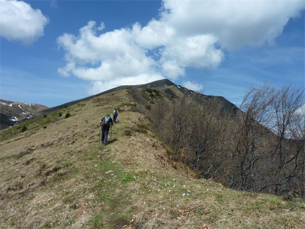 Monte Araralta (BG)