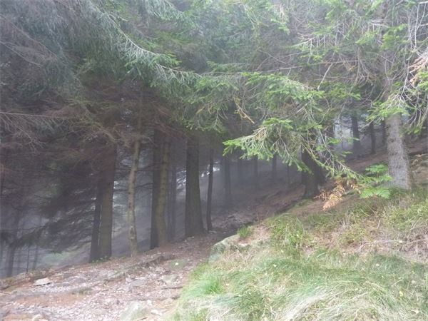 Monte Barone (BI)