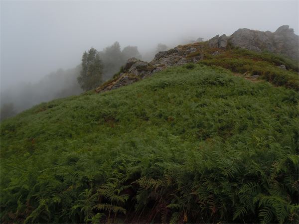 Monte Barone (BI)