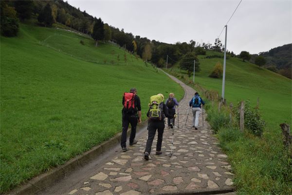 Monte Bronzone (BG)