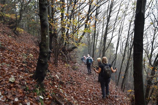 Monte Bronzone (BG)