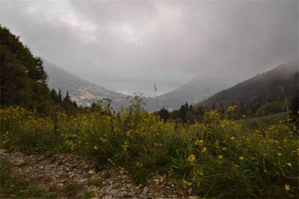 Monte Bronzone (BG)