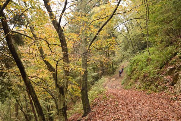 Monte Bronzone (BG)