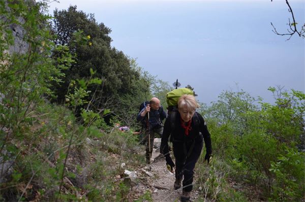 Monte Comer (BS)