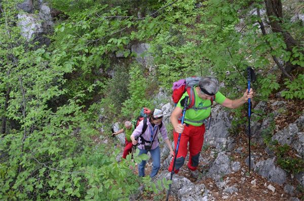 Monte Comer (BS)