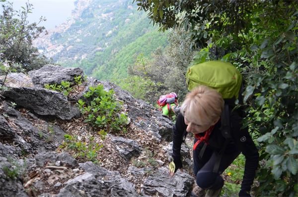 Monte Comer (BS)
