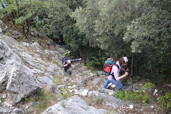 Monte Comer (BS)