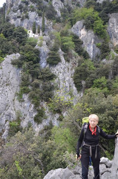 Monte Comer (BS)
